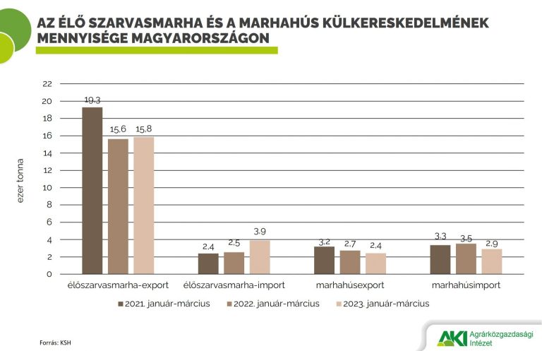 Több mint 50 százalékkal nőtt az élőmarha-import