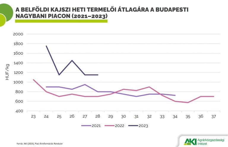 A tavalyinál jóval kevesebb kajszi teremhet idén