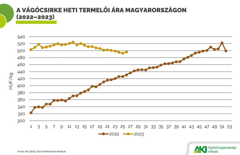 A vágócsirke termelői ára csaknem 34 százalékkal emelkedett