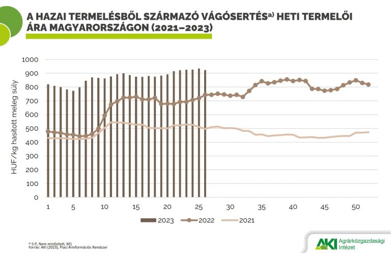 A vágósertés termelői ára 30 százalékkal nőtt egy év alatt