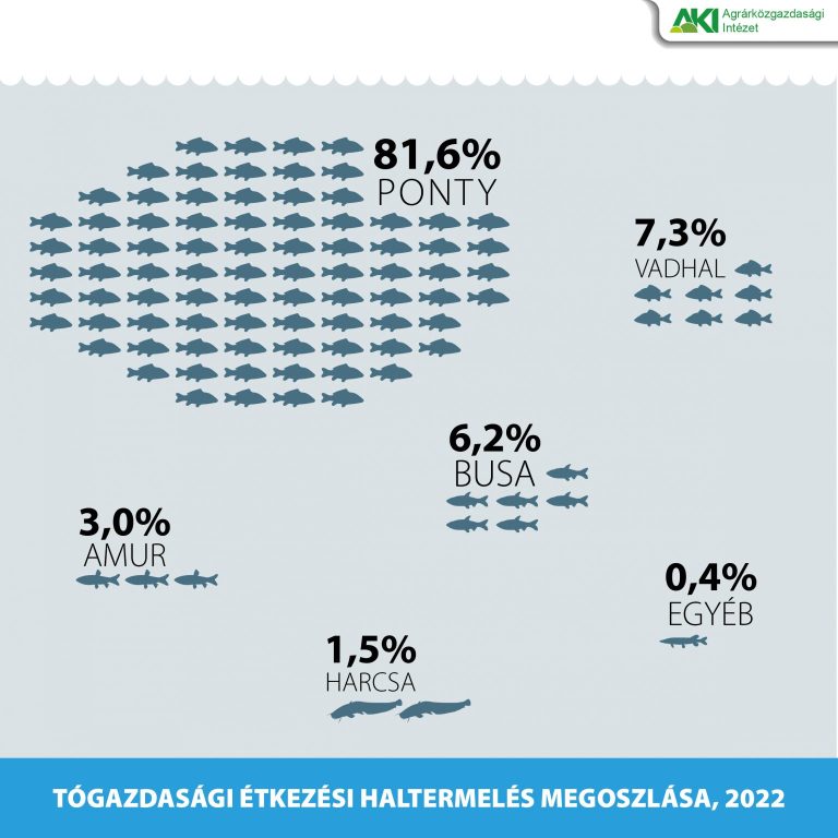 Kismértékben csökkent a tógazdasági haltermelés 2022-ben