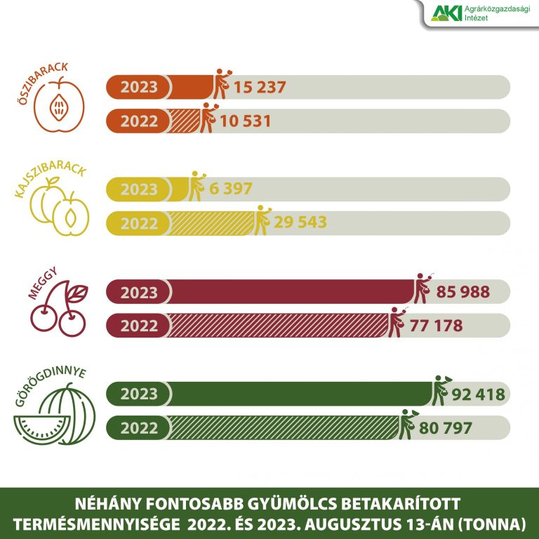 A búza termésátlaga a tavalyihoz képest 36 százalékkal nőtt