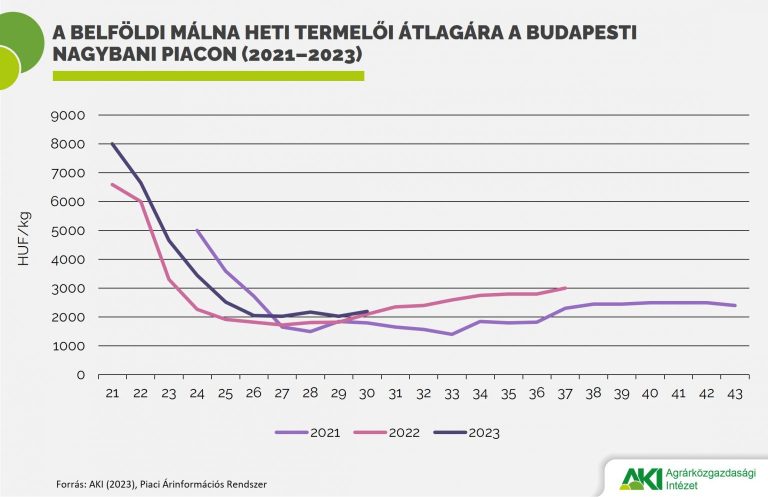 A málna termőterülete az ezredforduló óta folyamatosan csökken