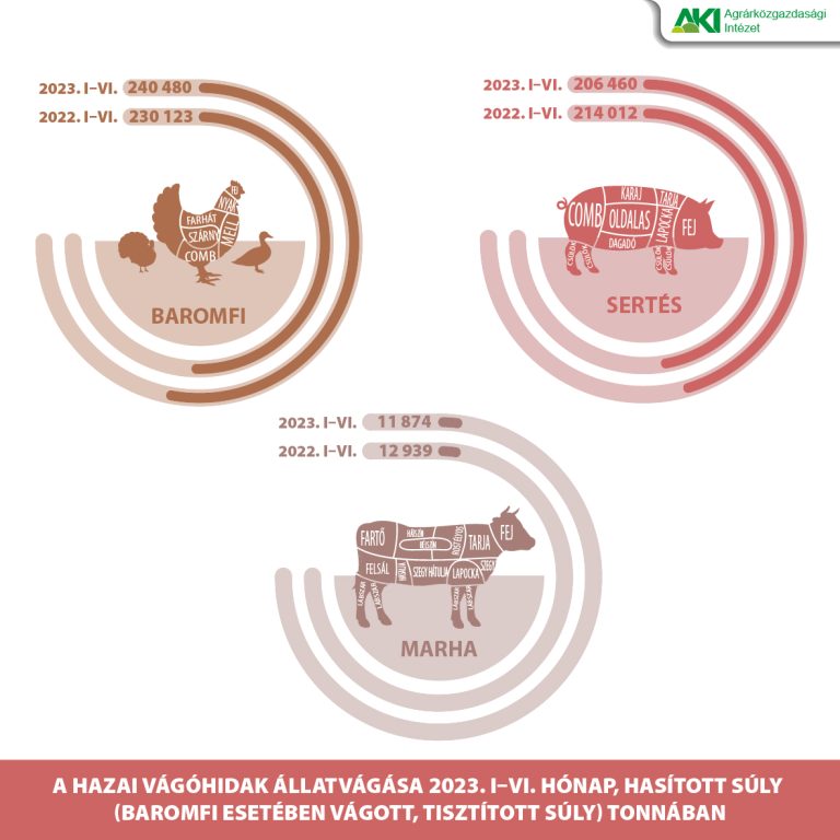 A pulykavágás jelentősen visszaesett a vágóhidakon