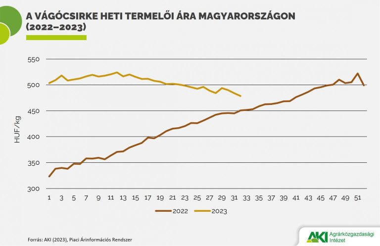 A vágócsirke élősúlyos termelői ára még mindig magasabb a 2022-es adatokénál