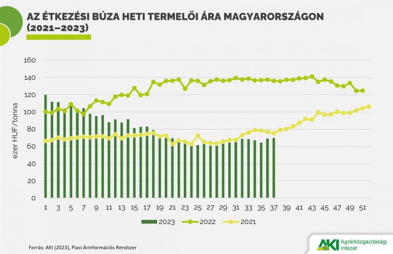 A búza világpiaci árát lefelé mozgatták a nagy oroszországi készletek