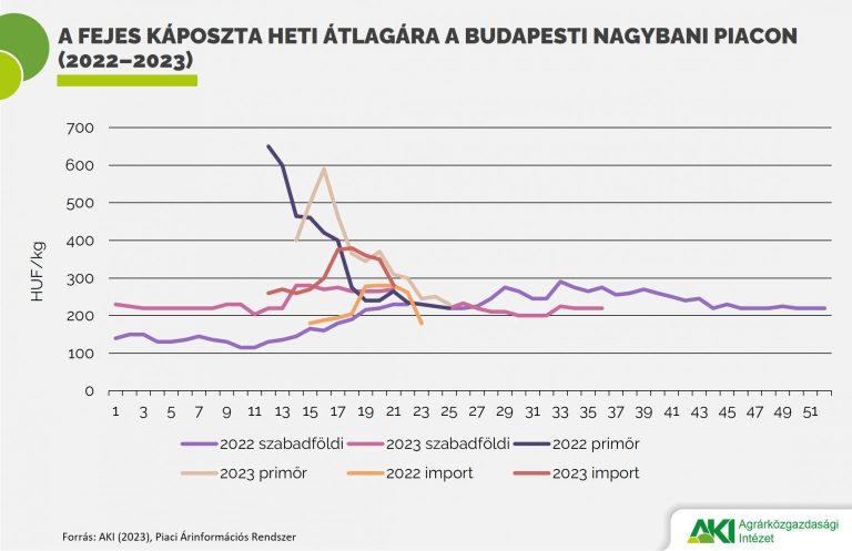 A szabadföldi fejes káposzta kevesebbe kerül, mint az előző évben