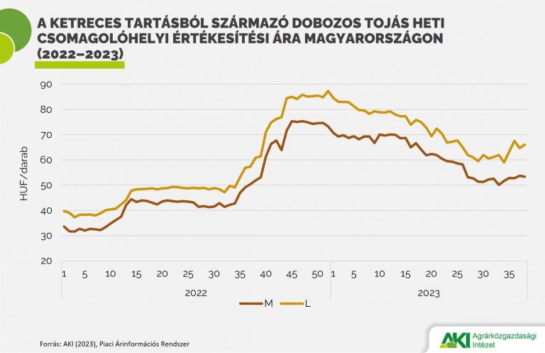 A tojás csomagolóhelyi ára több mint 50 százalékkal magasabb, mint egy évvel korábban