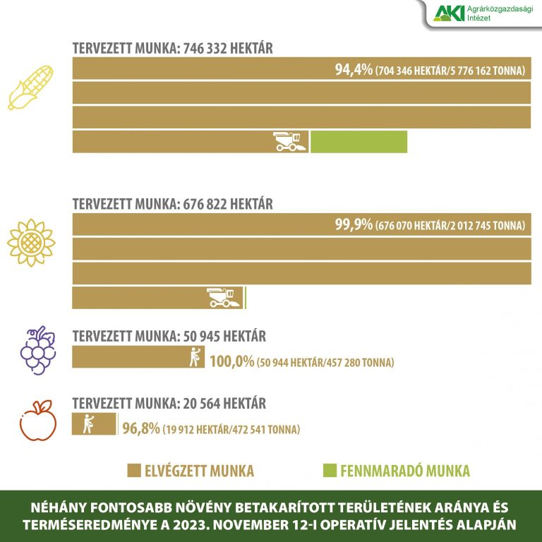 A burgonya termésátlaga 25 százalékkal több, mint 2022-ben