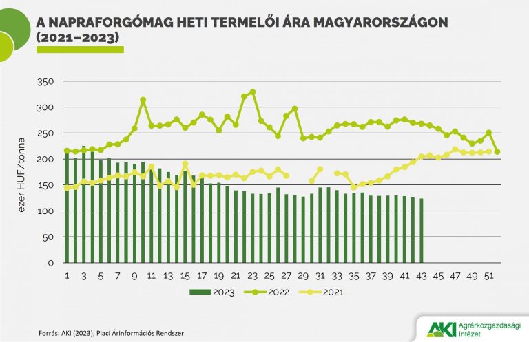 Az EU-ban 8 százalékkal több napraforgómag-termés várható