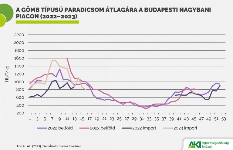 Az ipari paradicsom termésmennyisége 38 százalékkal nőhet idén