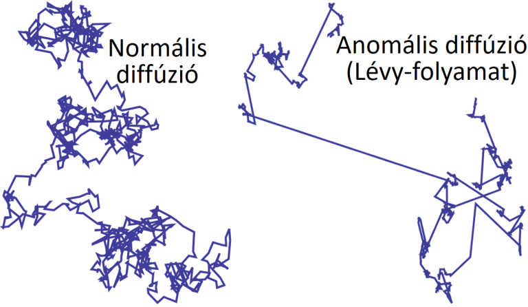 Feltárult a kvarkanyag geometriája