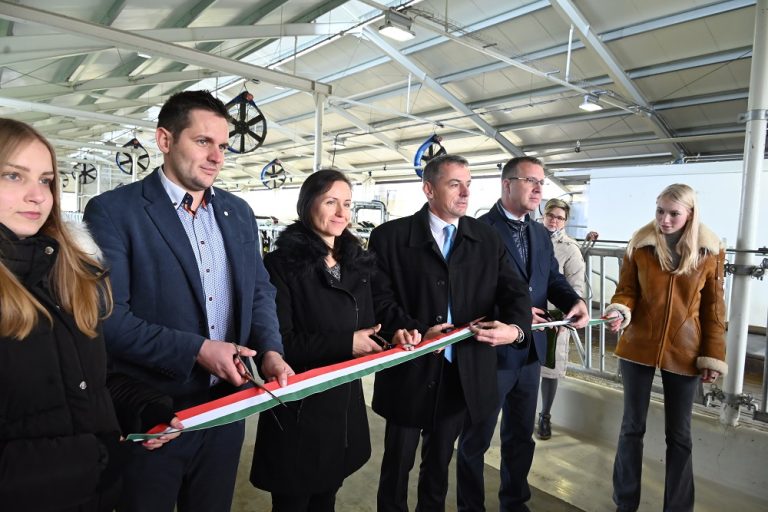 High-tech megoldások szolgálják a tehenek kényelmét a MATE új tejtermelő laboratóriumában