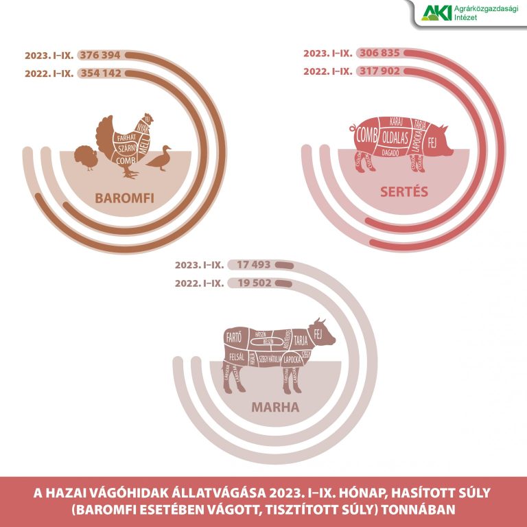 Kevesebb sertés és szarvasmarha került a vágóhidakra