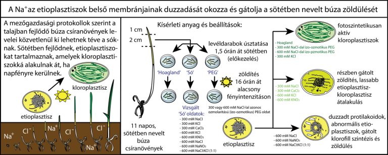 Nem mindegy, mivel sózzuk az utakat