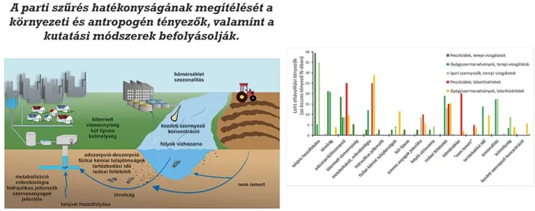 A HUN-REN CSFK kutatói portugál szakértőkkel közösen elemezték a parti szűrés mikroszennyezőkkel szembeni hatékonyságát