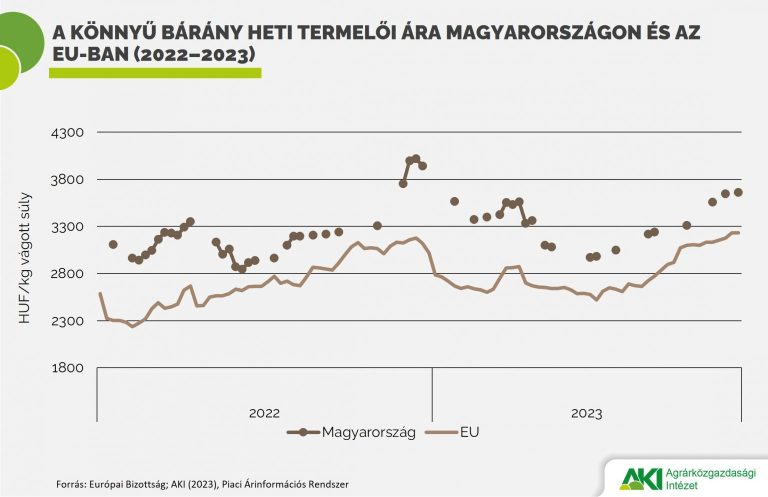 A könnyű és a nehéz bárány termelői ára is növekedett