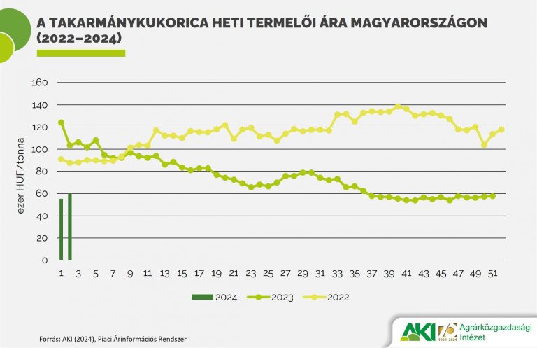 A tavalyinál 6 százalékkal több kukoricatermés várható