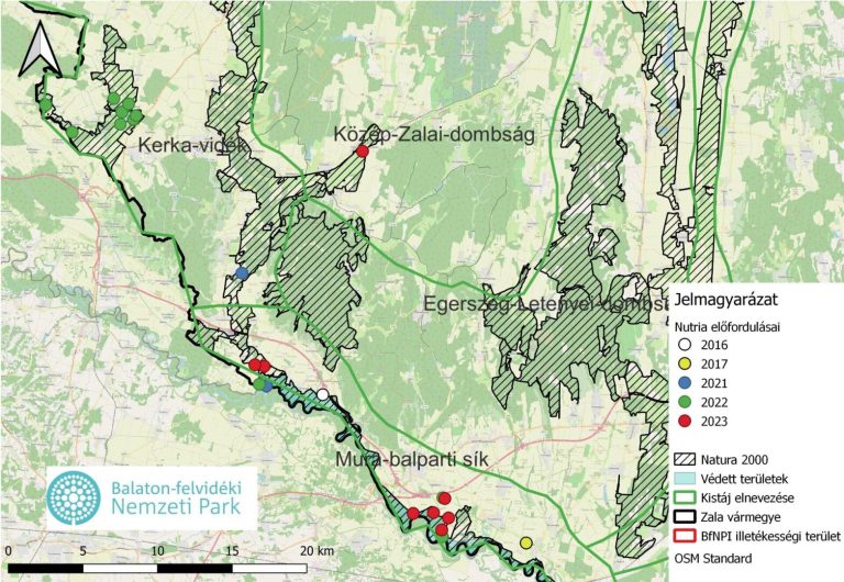 Terjeszkedő nutria-állományok Délnyugat-Magyarországon