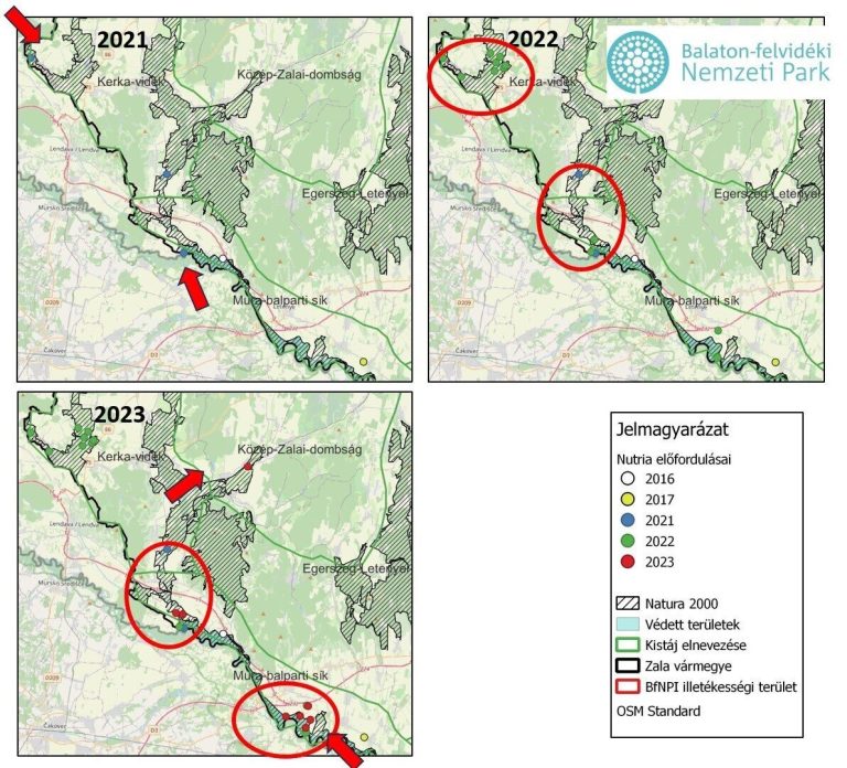 Terjeszkedő nutria-állományok Délnyugat-Magyarországon