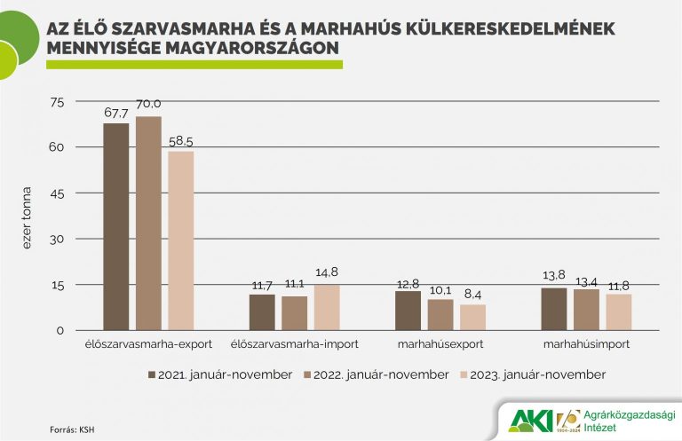 33 százalékkal nőtt az élőmarha-import