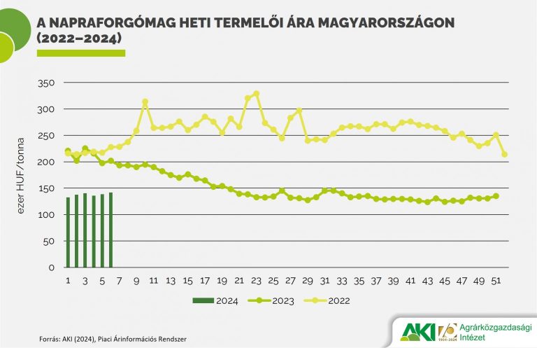 5 százalékkal több napraforgómag-termés várható