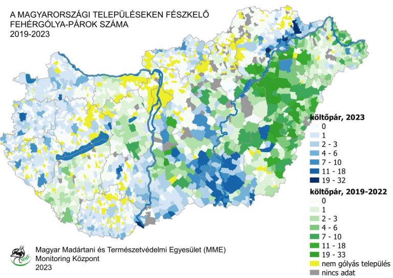 Elkészült a 2023. évi fehérgólya-felmérés összesítése