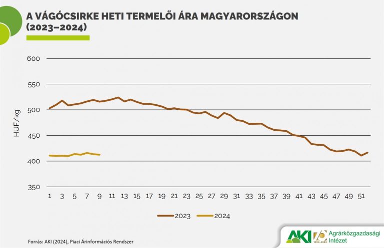 A csirkehús kivitele 11 százalékkal emelkedett 2023-ban