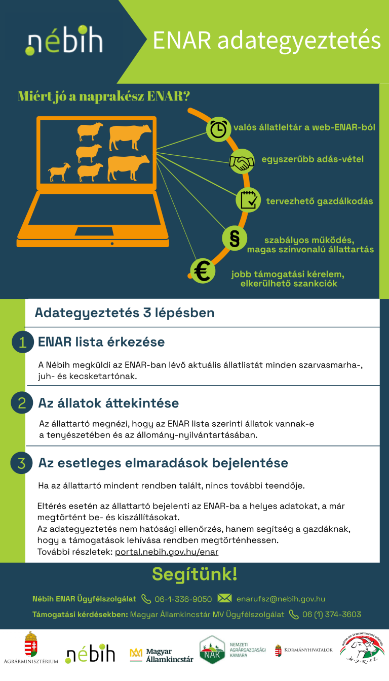 A szarvasmarha, juh-és kecsketartóknak március 31-ig adatokat kell egyeztetniük az ENAR-ban