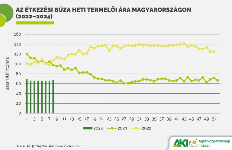 Az amerikai termény kivételével tovább csökkent a búza világpiaci ára