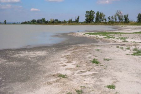 A vizek sótartalmának növekedése evolúciós változásra kényszeríti a planktonikus szervezeteket