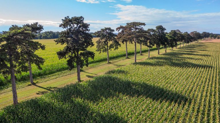 Megújul a gyakorlati képzés a Magyar Agrár- és Élettudományi Egyetemen