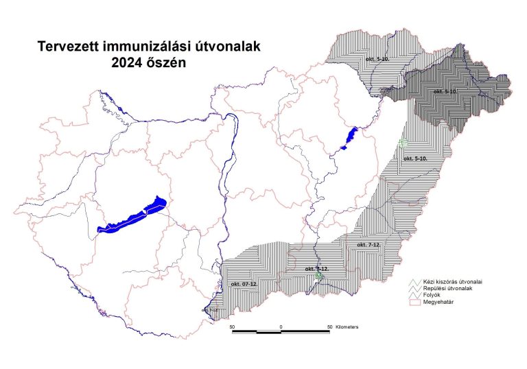 Október 5-től indul a rókavakcinázás az ország keleti és déli vármegyéiben