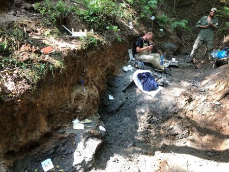 Geológiai térképezés segítheti további dínók felfedezését Erdélyben