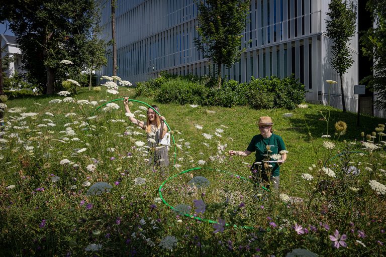 Beporzók a városokban: Európa-szintű szintézis támasztja alá a biodiverzitás-barát városi élőhelykezelés jelentőségét