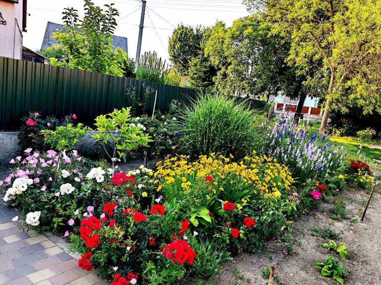 Hivatalos: ezek az ország legszebb kertjei!