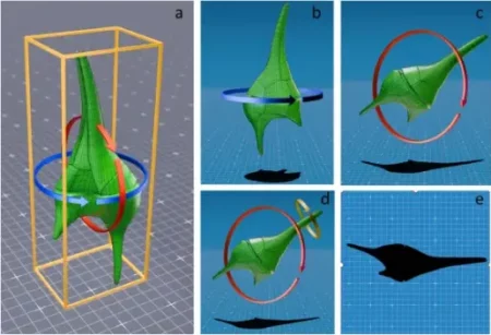 Nem csak a mennyiség számít, az algák alakja is befolyásolja a vízminőséget