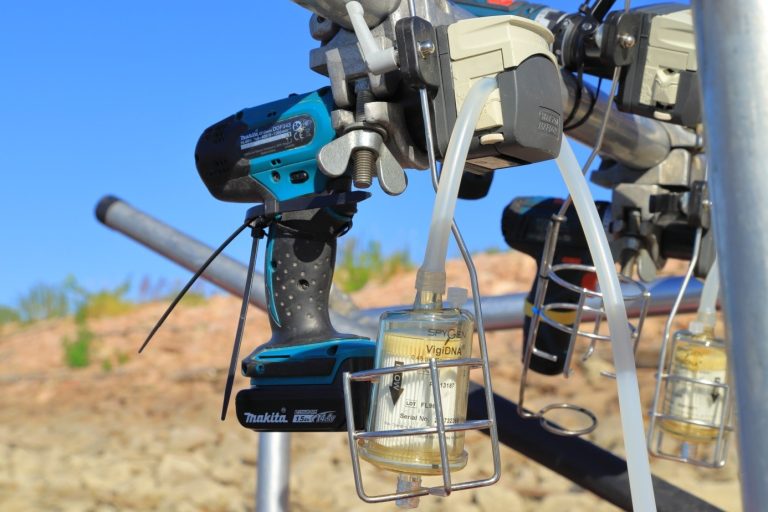 Nemzetközi kutatás: a dunai tokfélék élőhelyeinek térképezésében vesz részt a Széchenyi István Egyetem