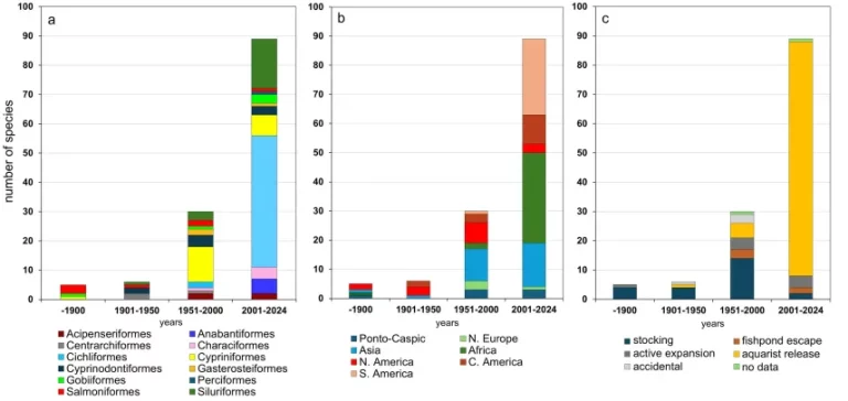 Terjednek az idegenhonos halfajok Magyarországon - ebben a termálvizeknek is nagy szerepük van