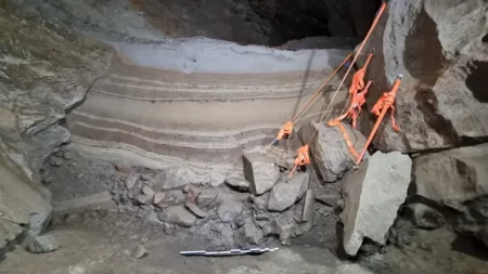 Az utolsó jégkorszak fosszíliái segíthetnek megérteni a globális felmelegedés hatásait a sarkvidéki ökoszisztémákra