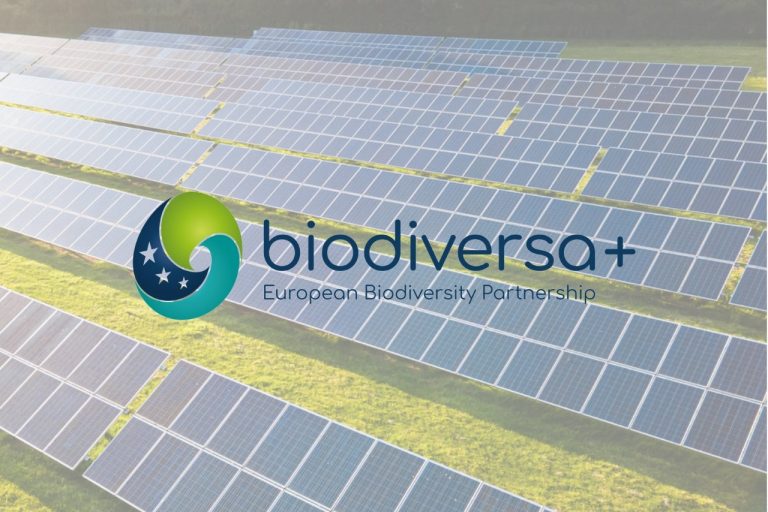 Hogyan lehet még zöldebb a napelemekre költött pénz? – európai kutatás indult magyar pénzügyi vezetéssel