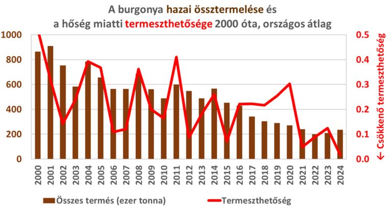 Eltűnhet a magyar krumpli: a felmelegedés és az új kártevők együtt szorítják ki a burgonyát