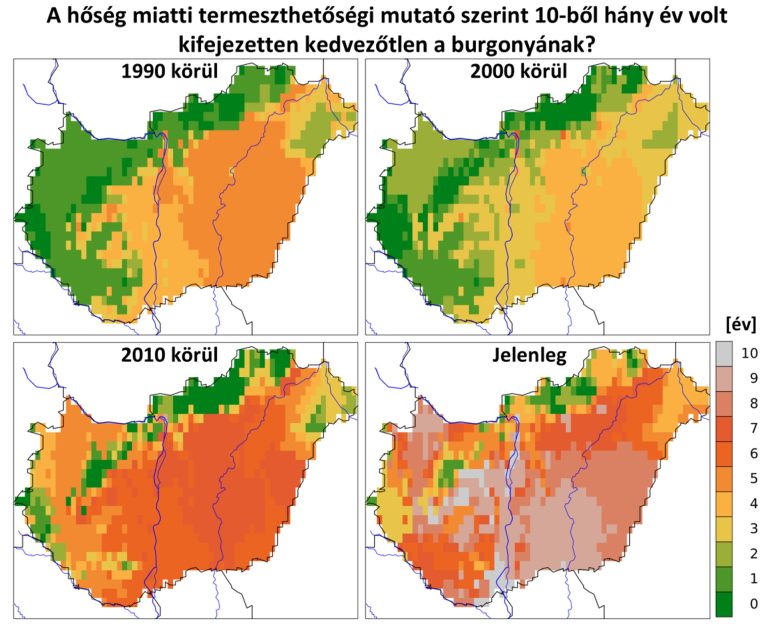 Eltűnhet a magyar krumpli: a felmelegedés és az új kártevők együtt szorítják ki a burgonyát