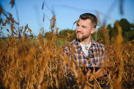 Földvásárlás és támogatások: miért alapfeltétel az aranykalászos gazda végzettség?