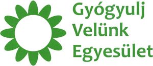 Gyógyulj Velünk Egyesület