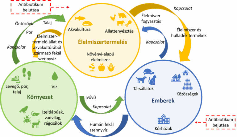 Elindult az Antimikrobiális Rezisztencia Világhét 2025