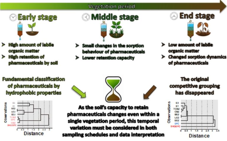 Gyógyszermaradványok a talajban: láthatatlan veszély a gyökerek mélyén
