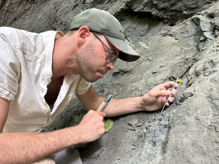 Kivételesen gazdag dinoszaurusz-lelőhelyet fedeztek fel Erdélyben
