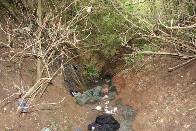 Kivételesen gazdag dinoszaurusz-lelőhelyet fedeztek fel Erdélyben