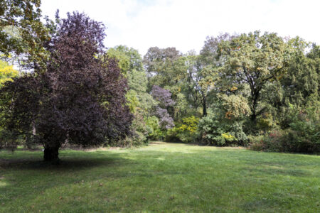 Védett történeti kert lett a Budai Arborétum Védett történeti kert lett a Budai Arborétum